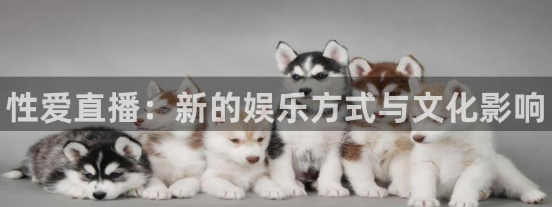 松鼠体育在线直播