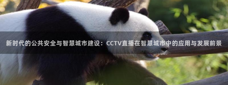 松鼠体育下载：新时代的公共安全与智慧城市建设：CCTV直播在智慧城市中的应用与发展前景