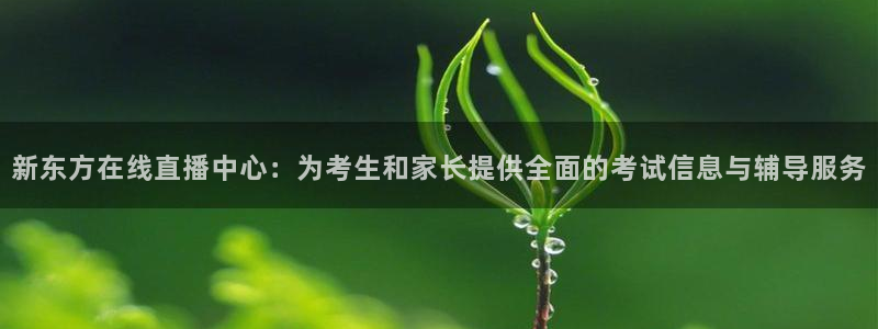 松鼠看球直播：新东方在线直播中心：为考生和家长提供全面的考试信息与辅导服务