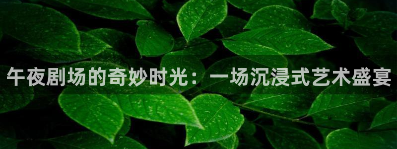 松鼠直播tv：午夜剧场的奇妙时光：一场沉浸式艺术盛宴