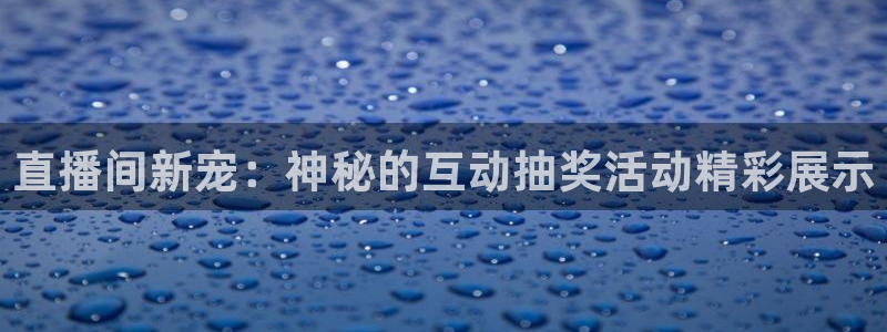 松鼠客户端：直播间新宠：神秘的互动抽奖活动精彩展示